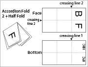 Accordion Fold 2 + Half Fold F15-A3