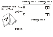 Accordion Fold 3 + Half Fold F16-A3