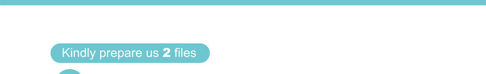 file submission guideline