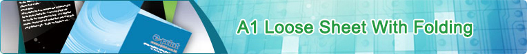 A1 Loose Sheet With Folding