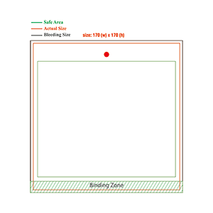 Type B - 170mm(W) x 170mm(H)